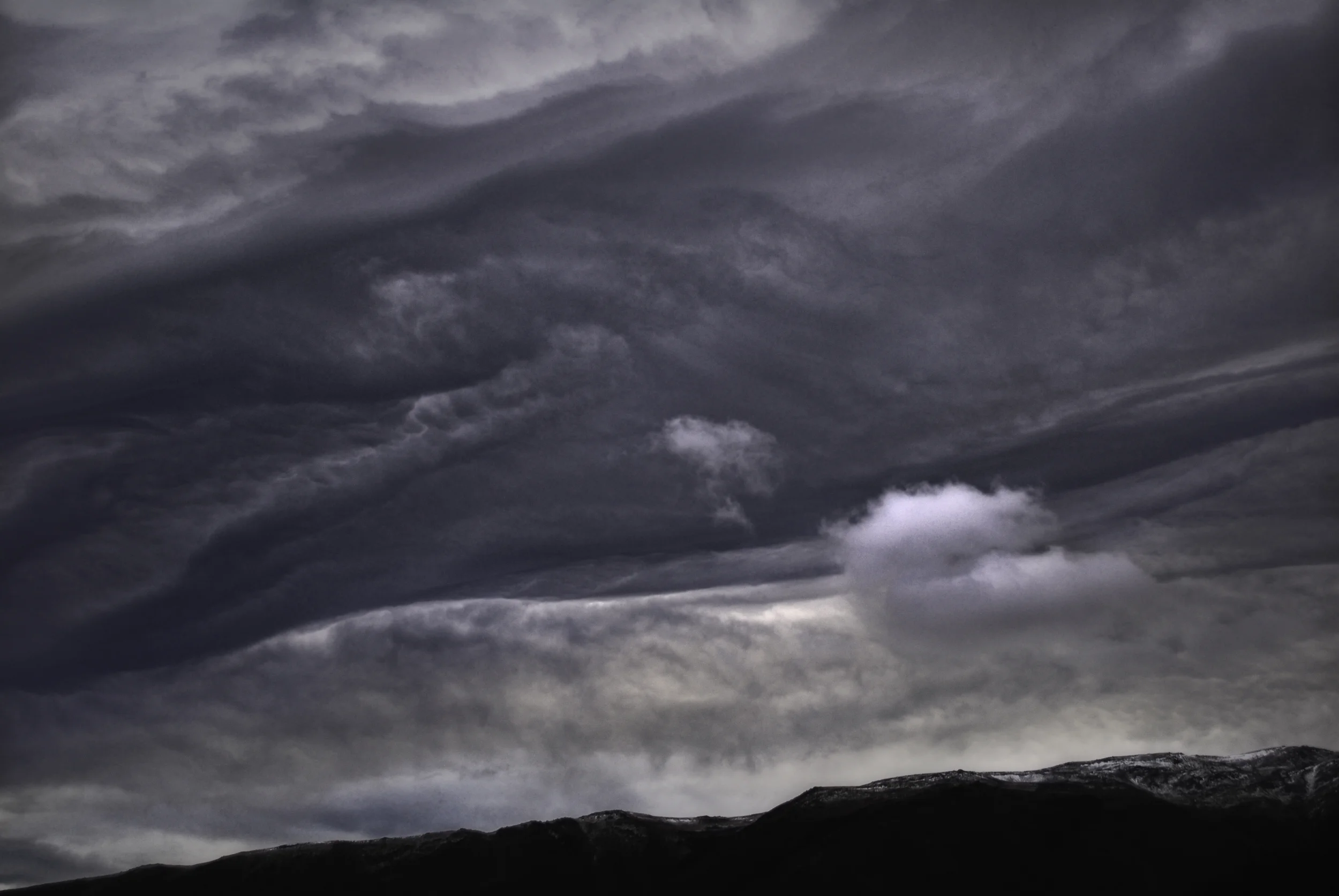 Undulatus Asperatus