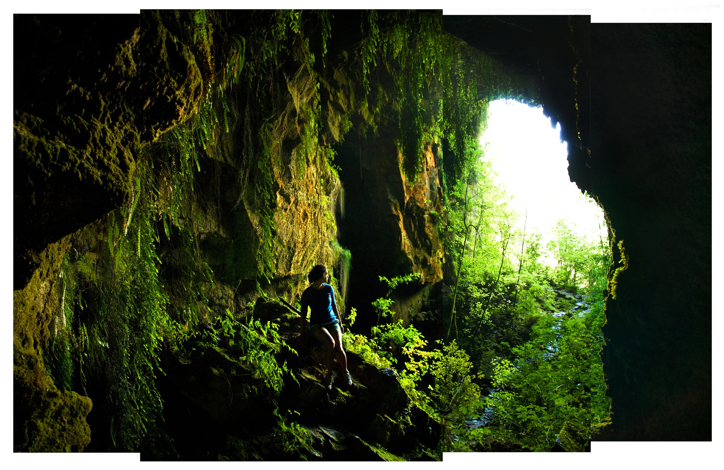 Paparoa Cave