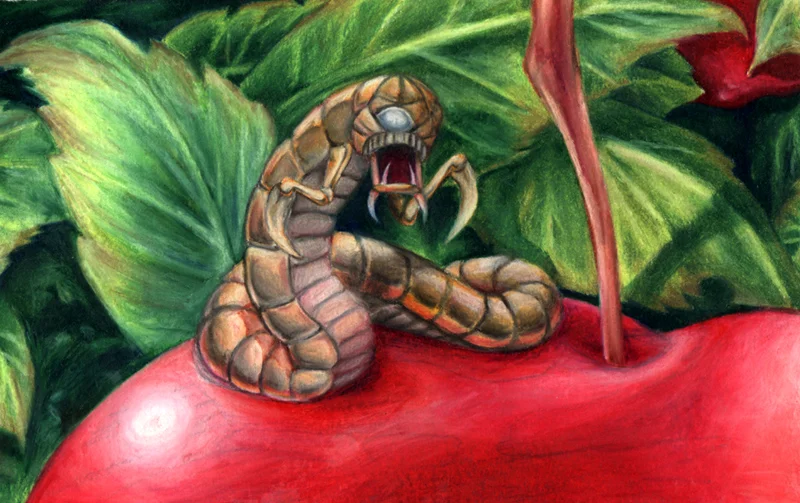 Worm in the Apple