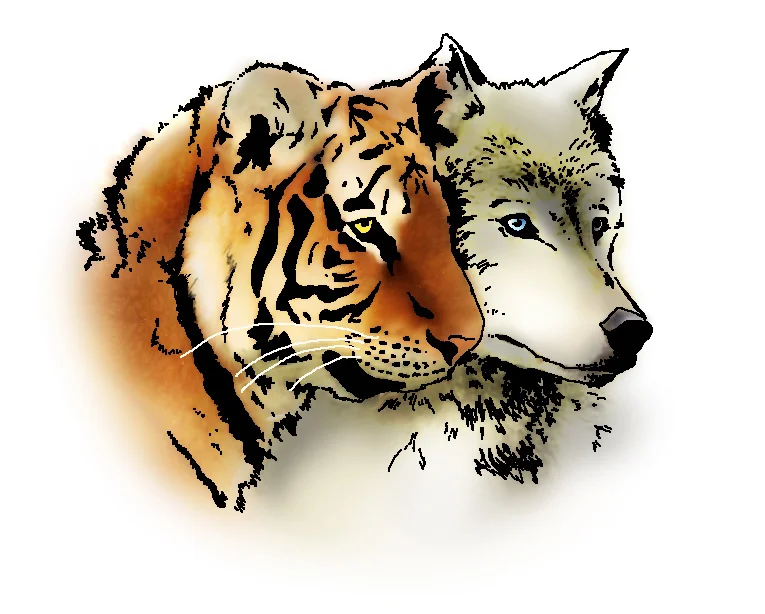Tiger and Wolf logo