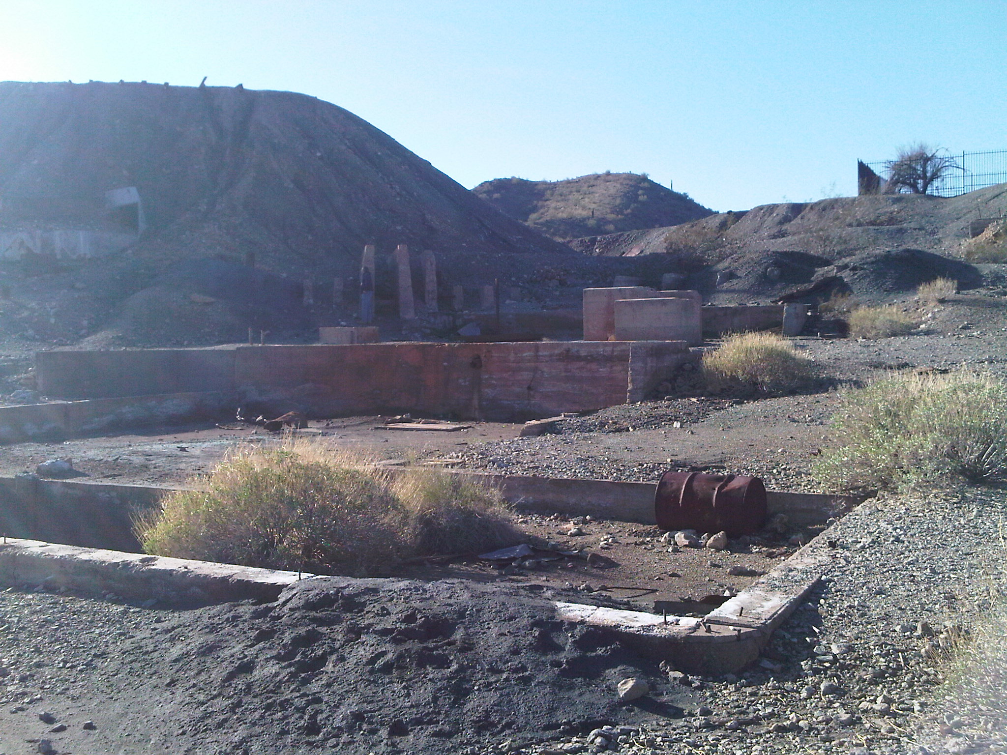 IMG00281-20100130-0941.jpg