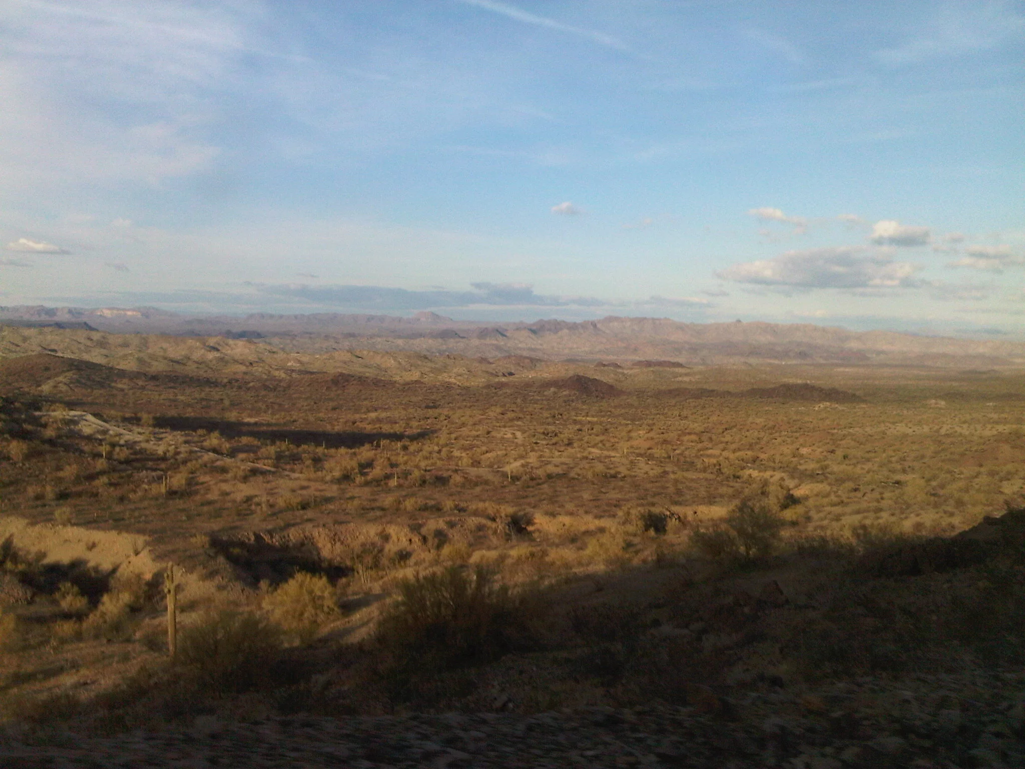 IMG00311-20100131-1657.jpg