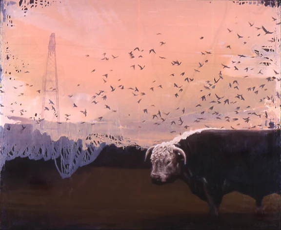 pasture.04.jpg