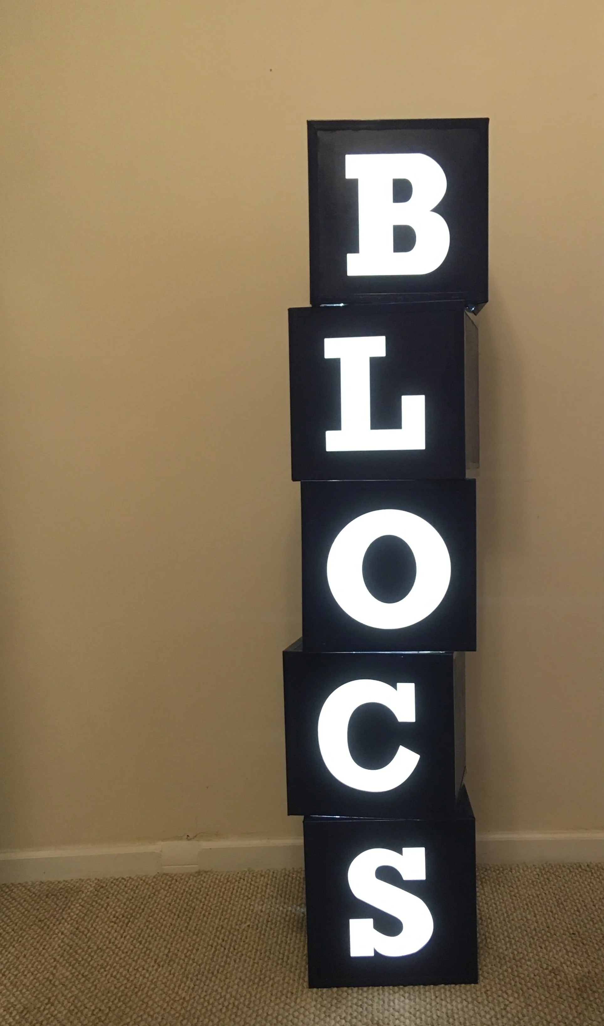 Light up logo display