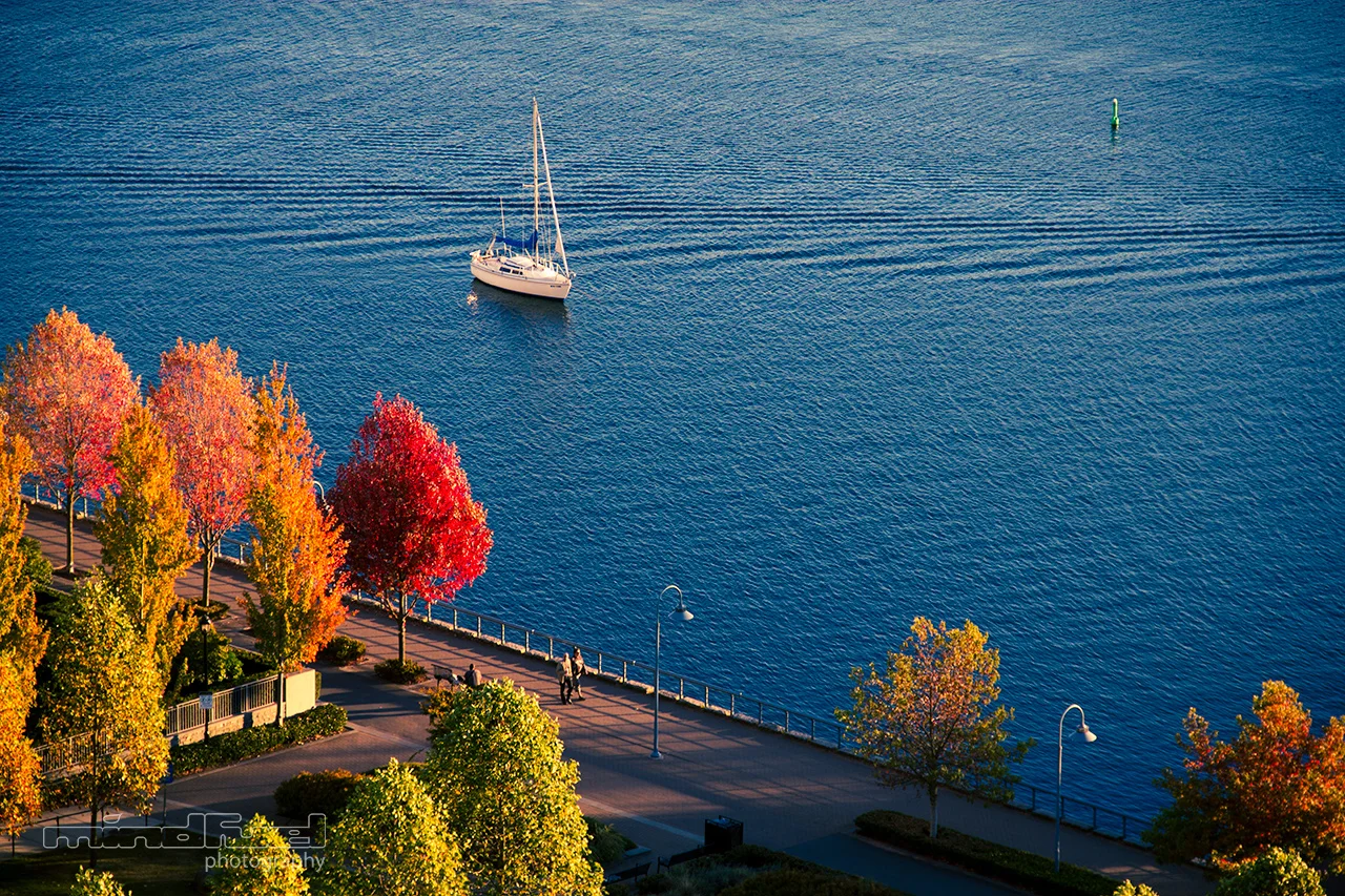 fall-false-creek_mindfuel_bernhard_huber.jpg