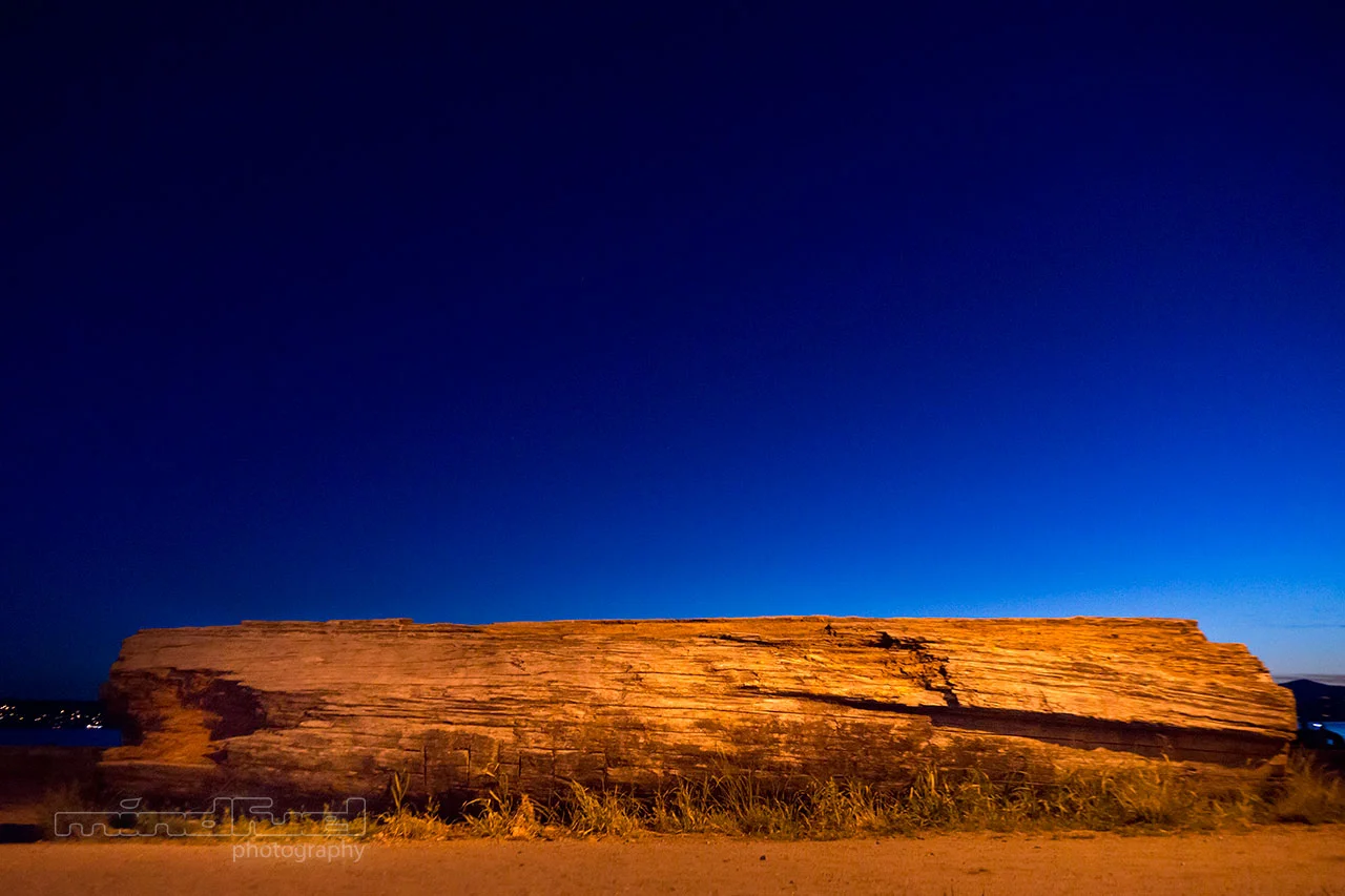 wood on the beach.jpg