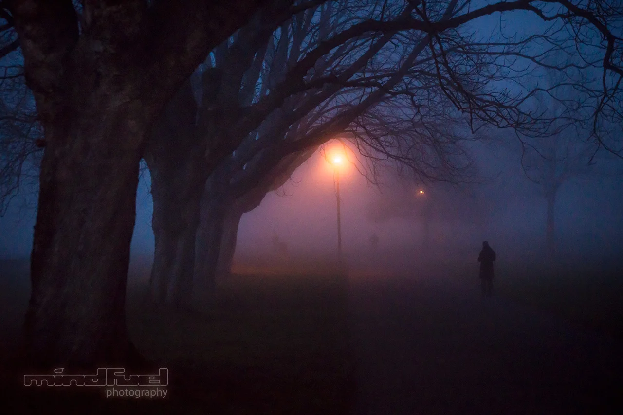 night fog.jpg