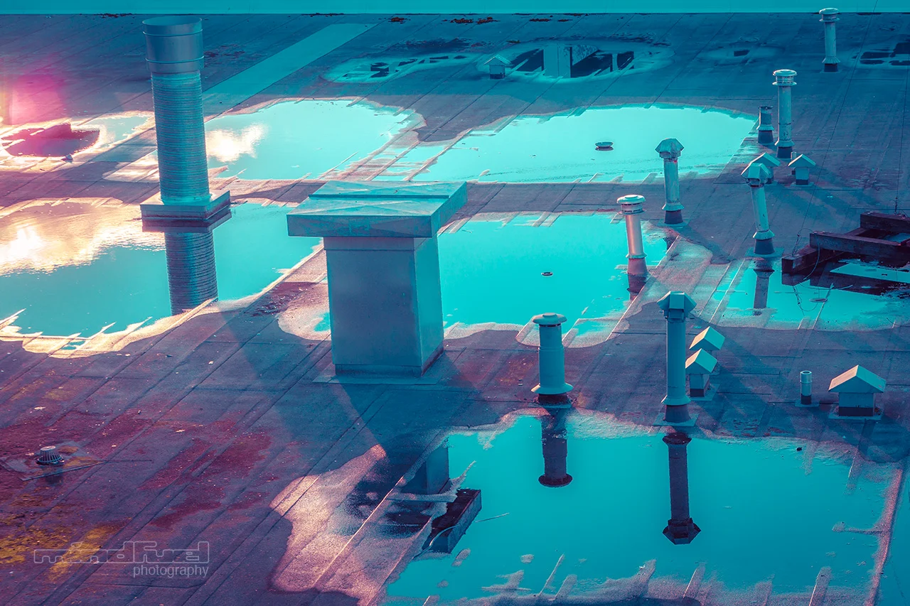 roof-top.jpg