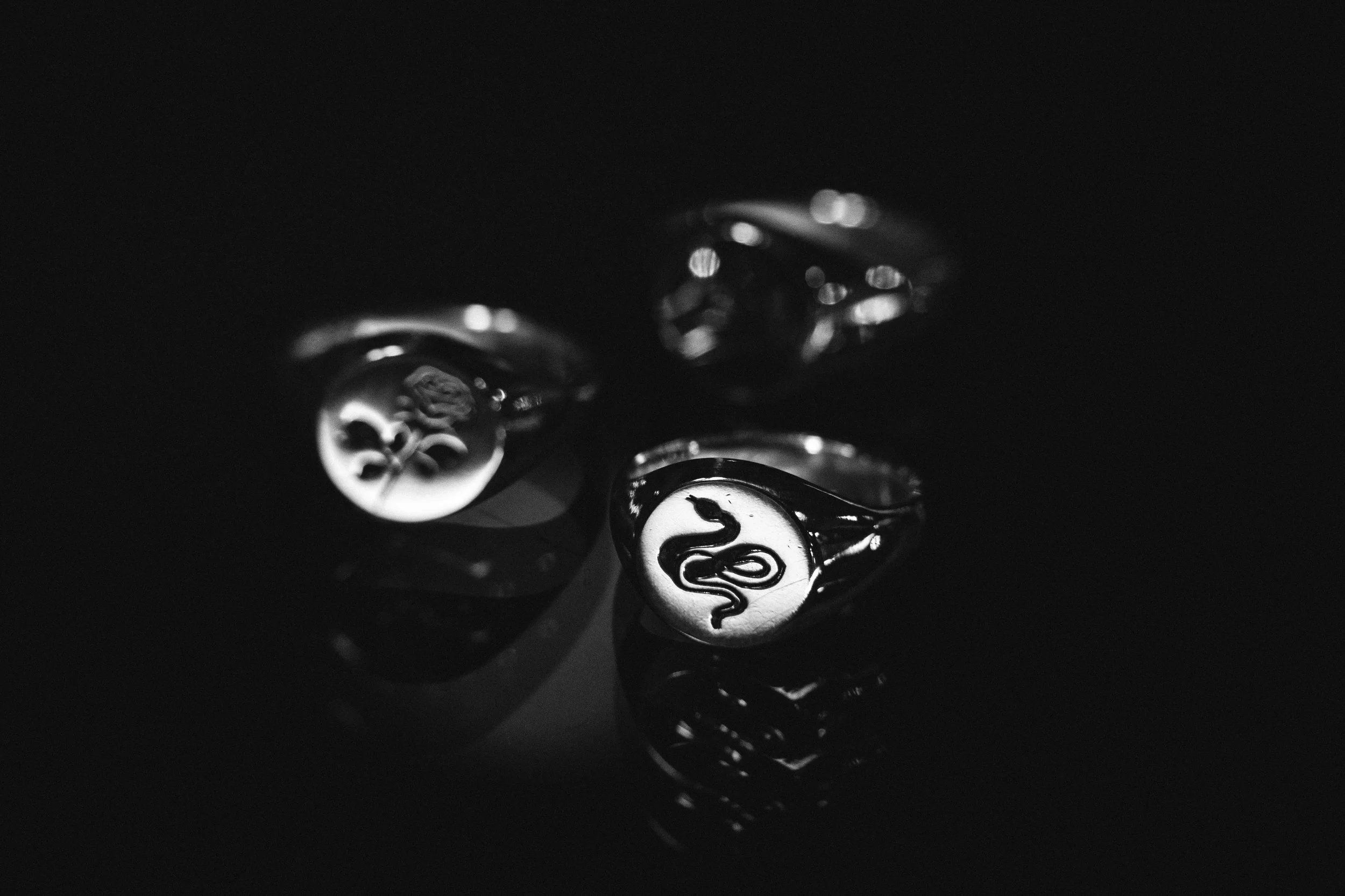 snake signet in black and white
