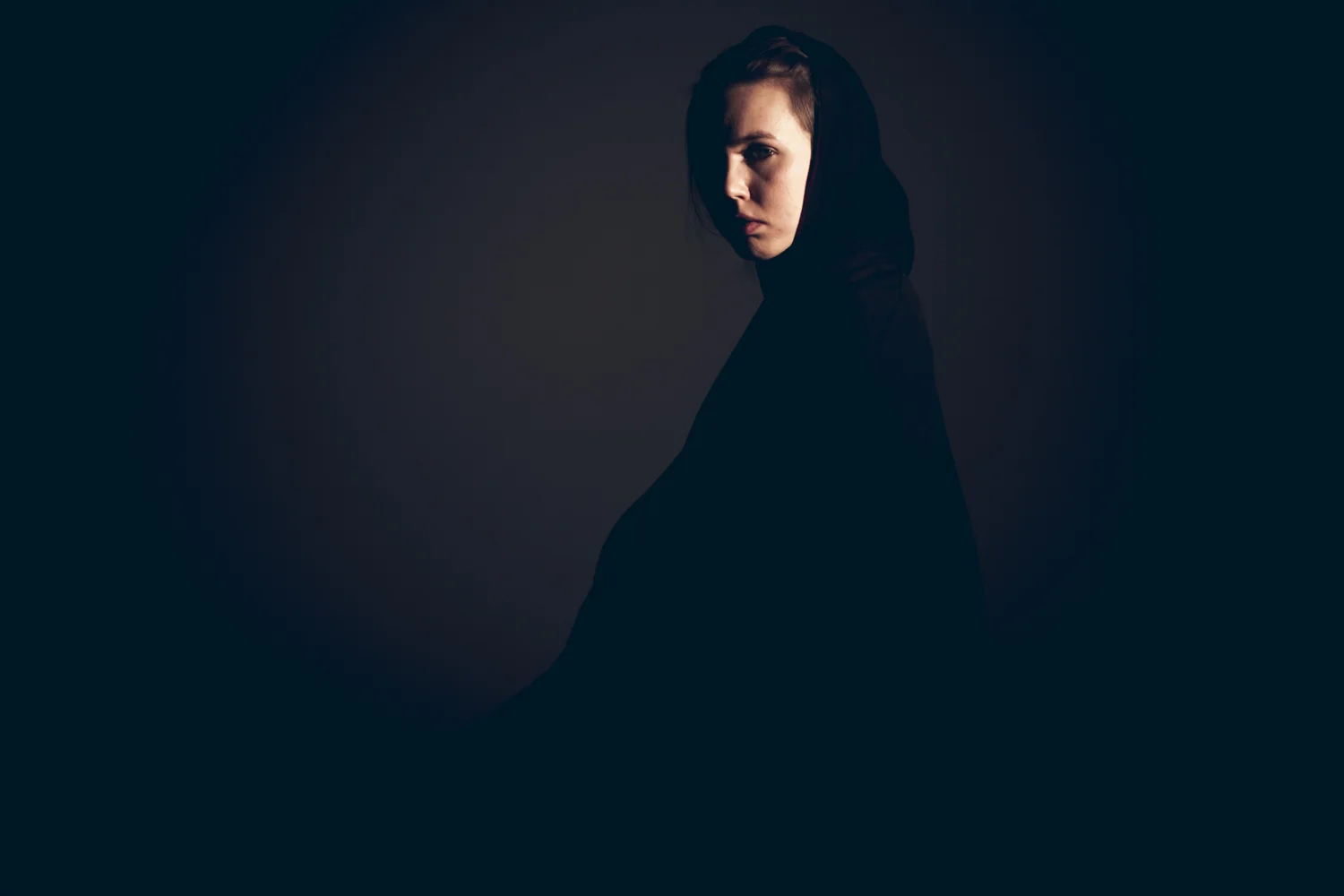 22 Tracks for Wild Beast