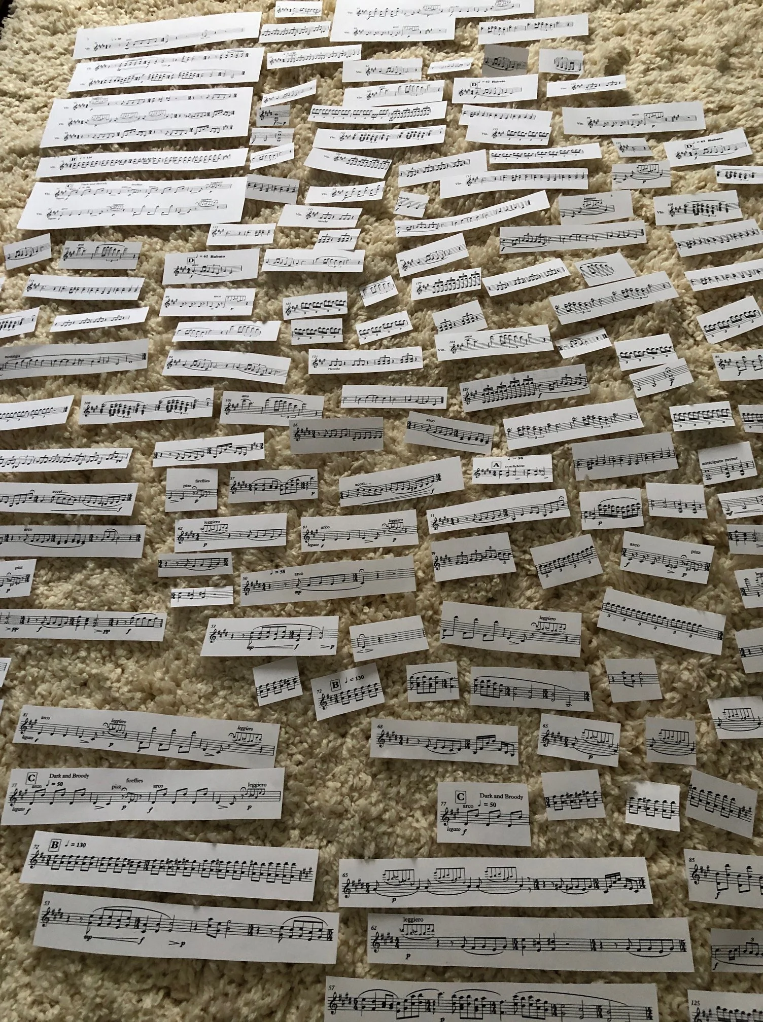 46146051_1955323088094574_4471817788503097344_o.jpg