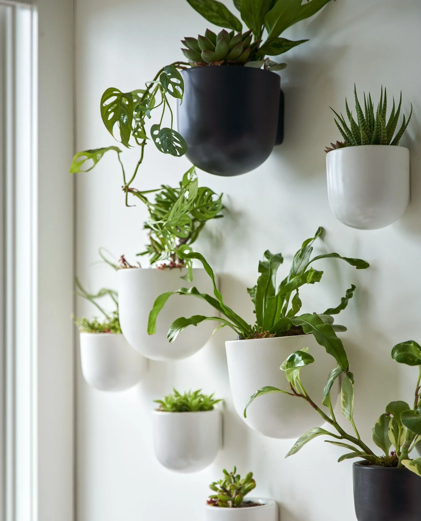 ⁠We are huge advocates for greenery throughout the home.  Hanging, sitting, levitating (!): You can't go wrong including green babies in your living spaces. ⁠
⁠
📸: @kuohphotography⁠ ⁠
💐: @ajamalia ⁠
⁠
#studiomunroe #roomoftheday #roomwithaview #int