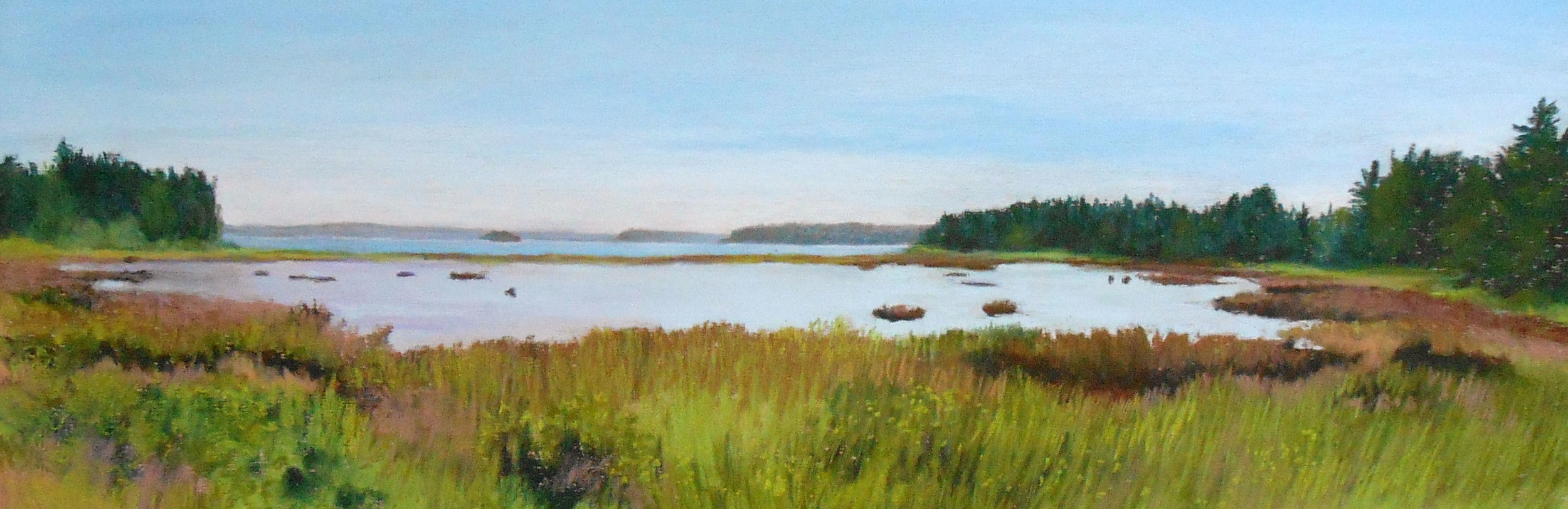 Salt Marsh on Deer Isle, Maine