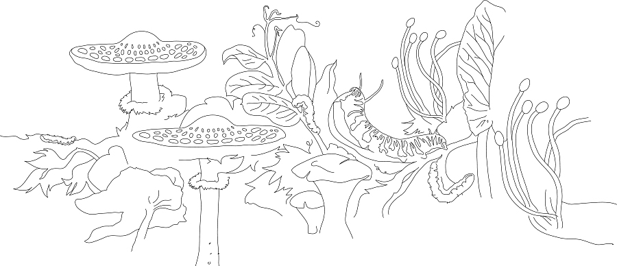 pod_mushroom.jpg