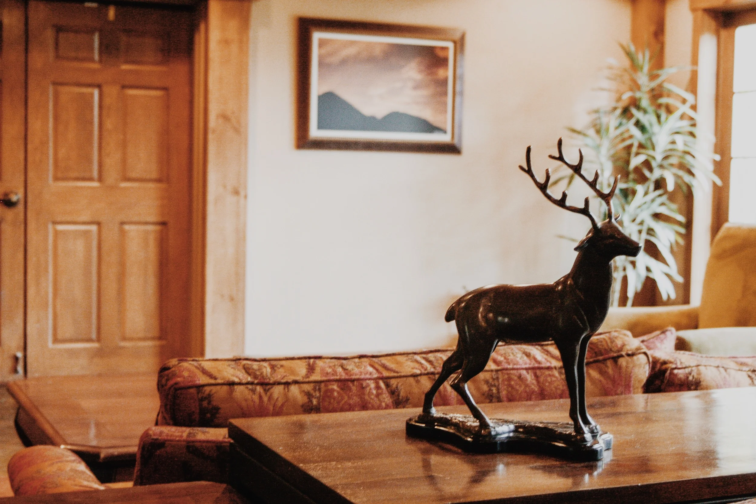 File Sep 21, 4 39 13 PM.jpeg