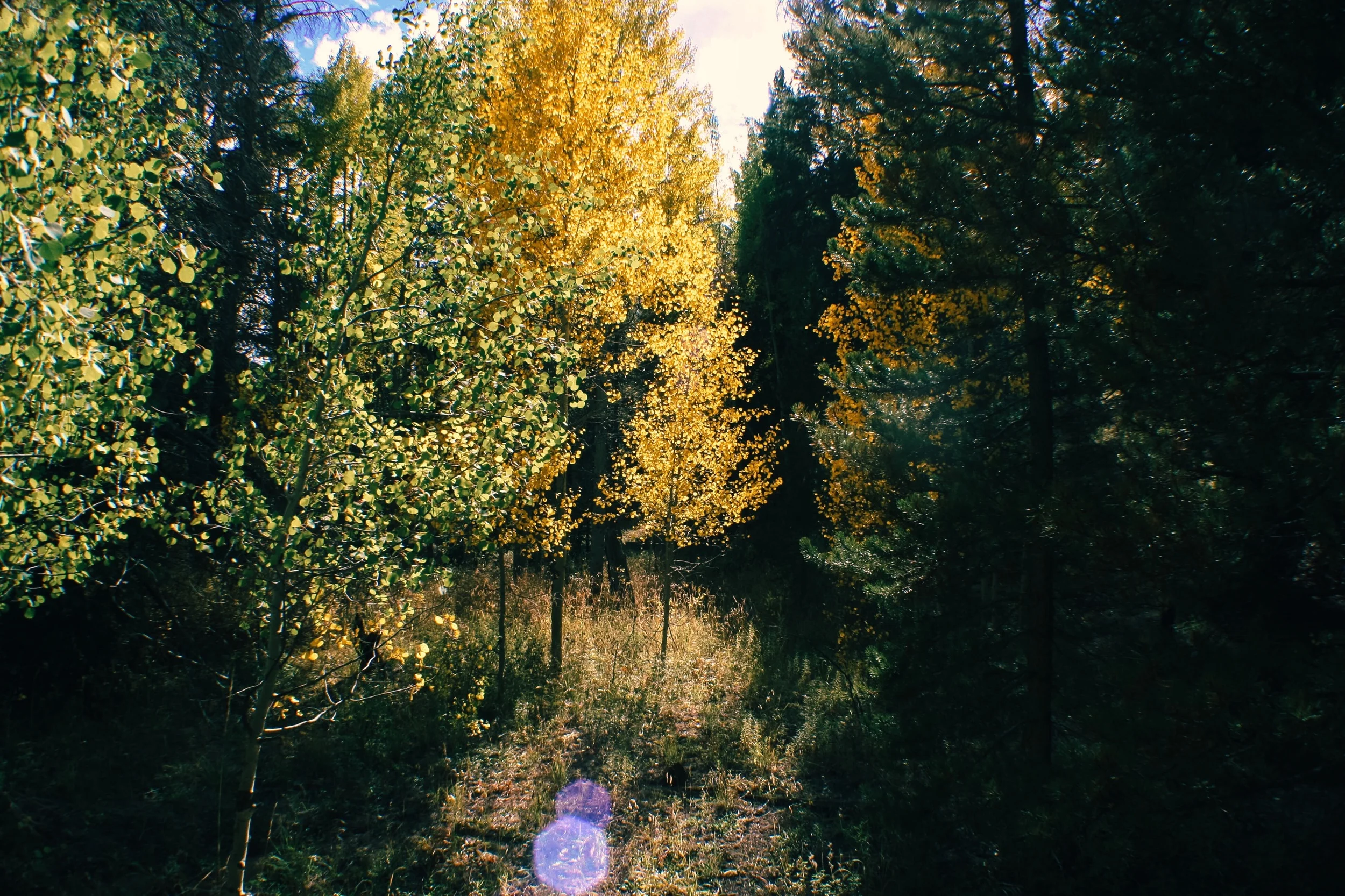 File Sep 21, 4 42 16 PM.jpeg