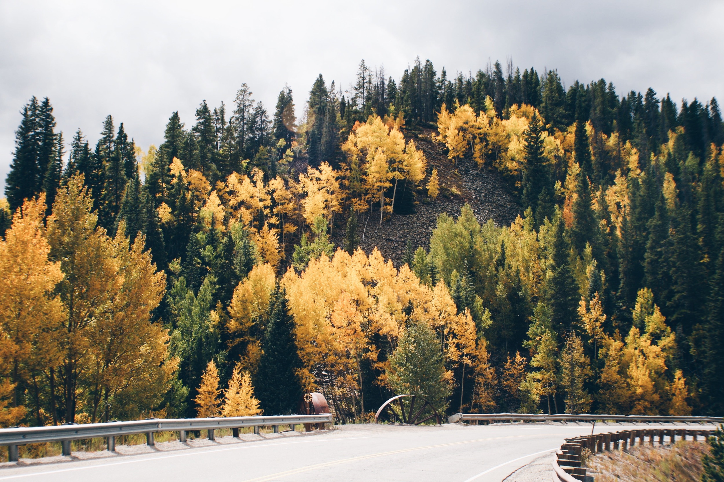 File Sep 21, 4 45 57 PM.jpeg