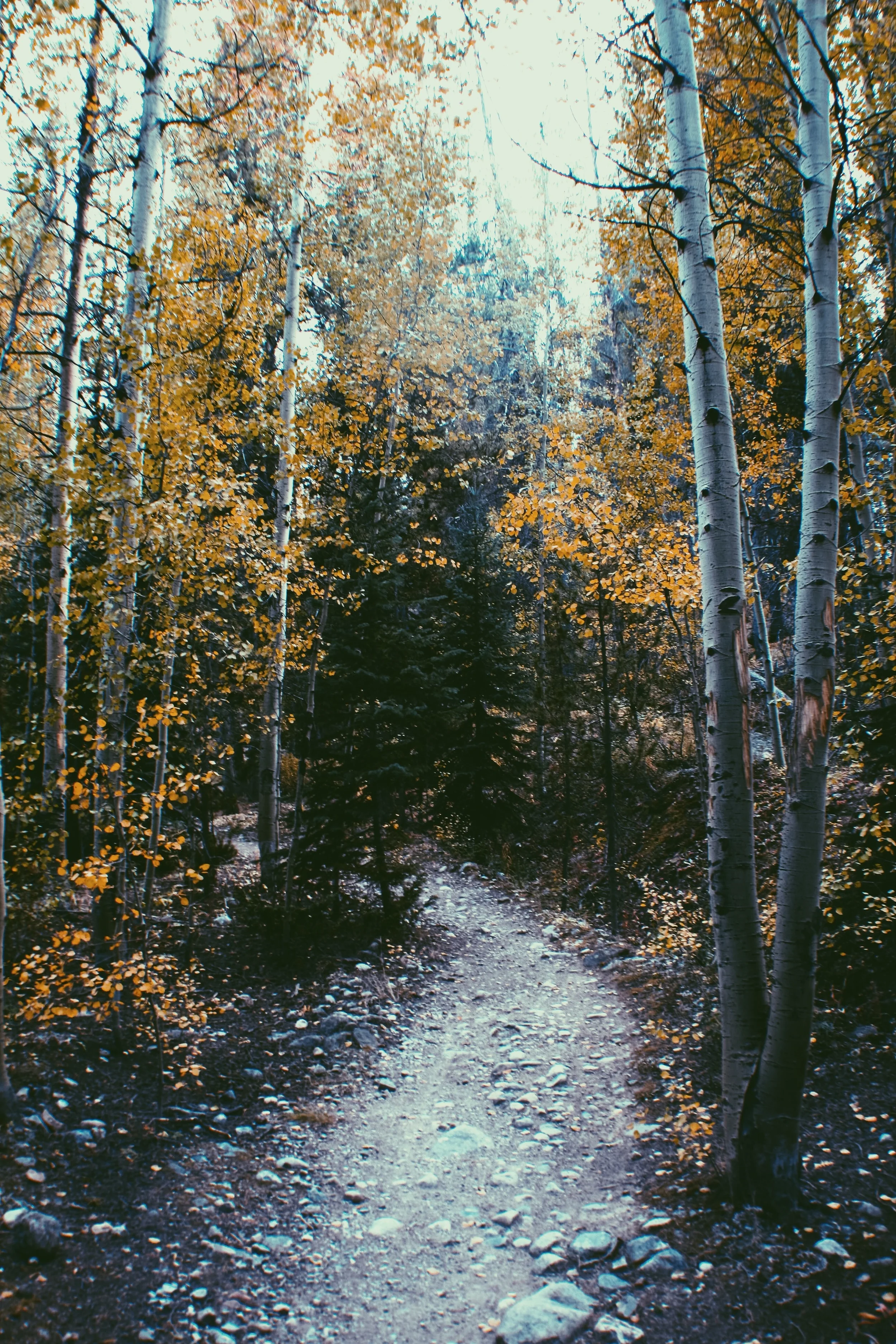 File Sep 22, 5 07 07 PM.jpeg