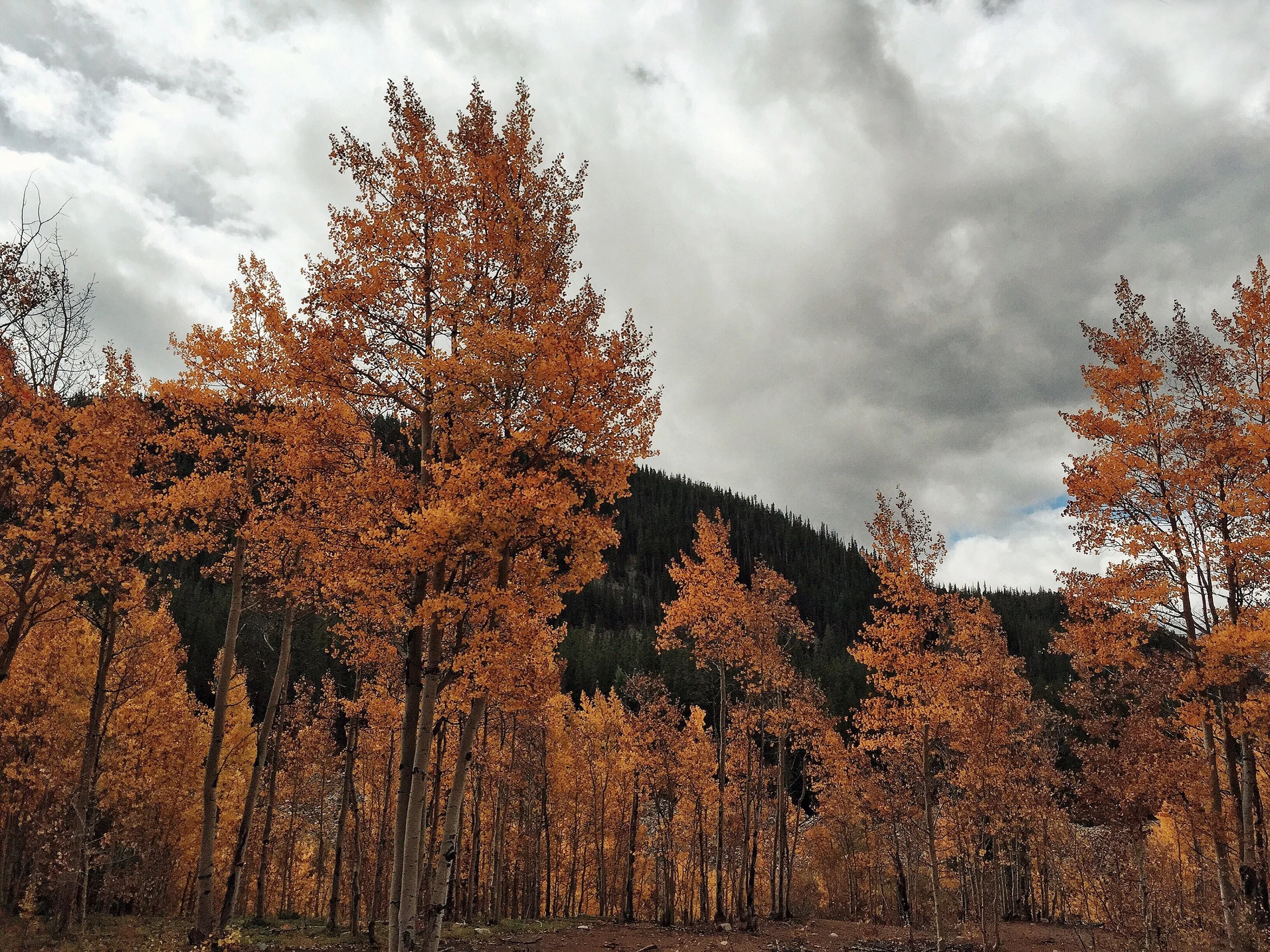 File Sep 22, 5 36 50 PM.jpeg