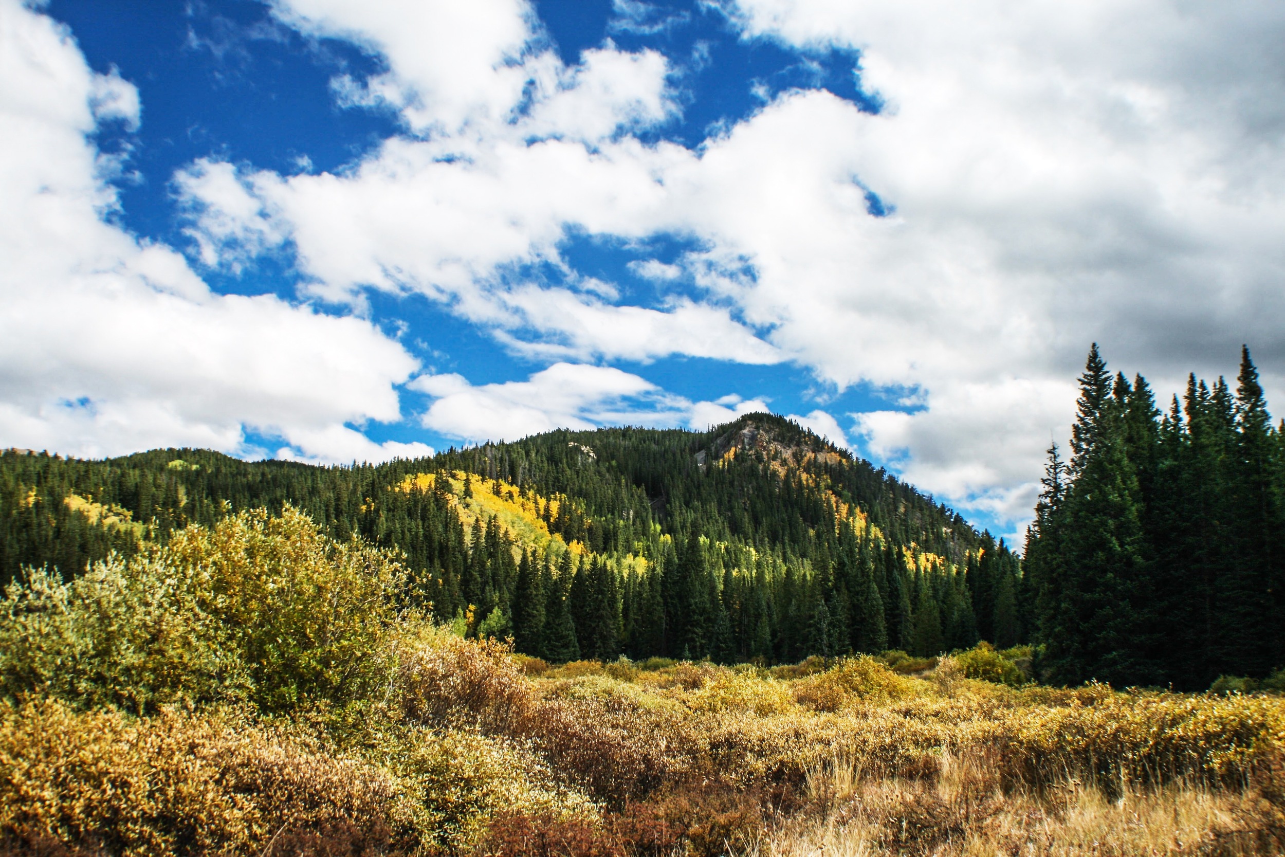 File Sep 22, 5 03 51 PM.jpeg