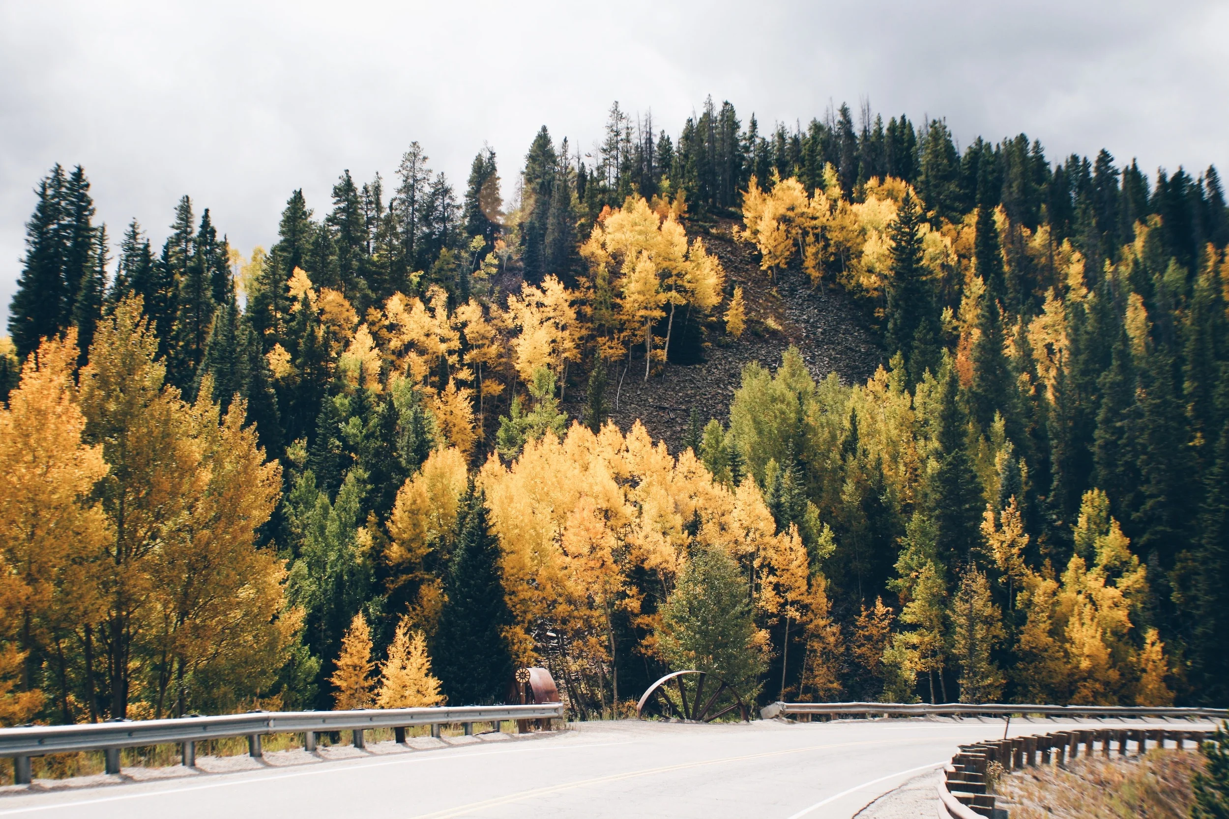 File Sep 21, 4 45 57 PM.jpeg