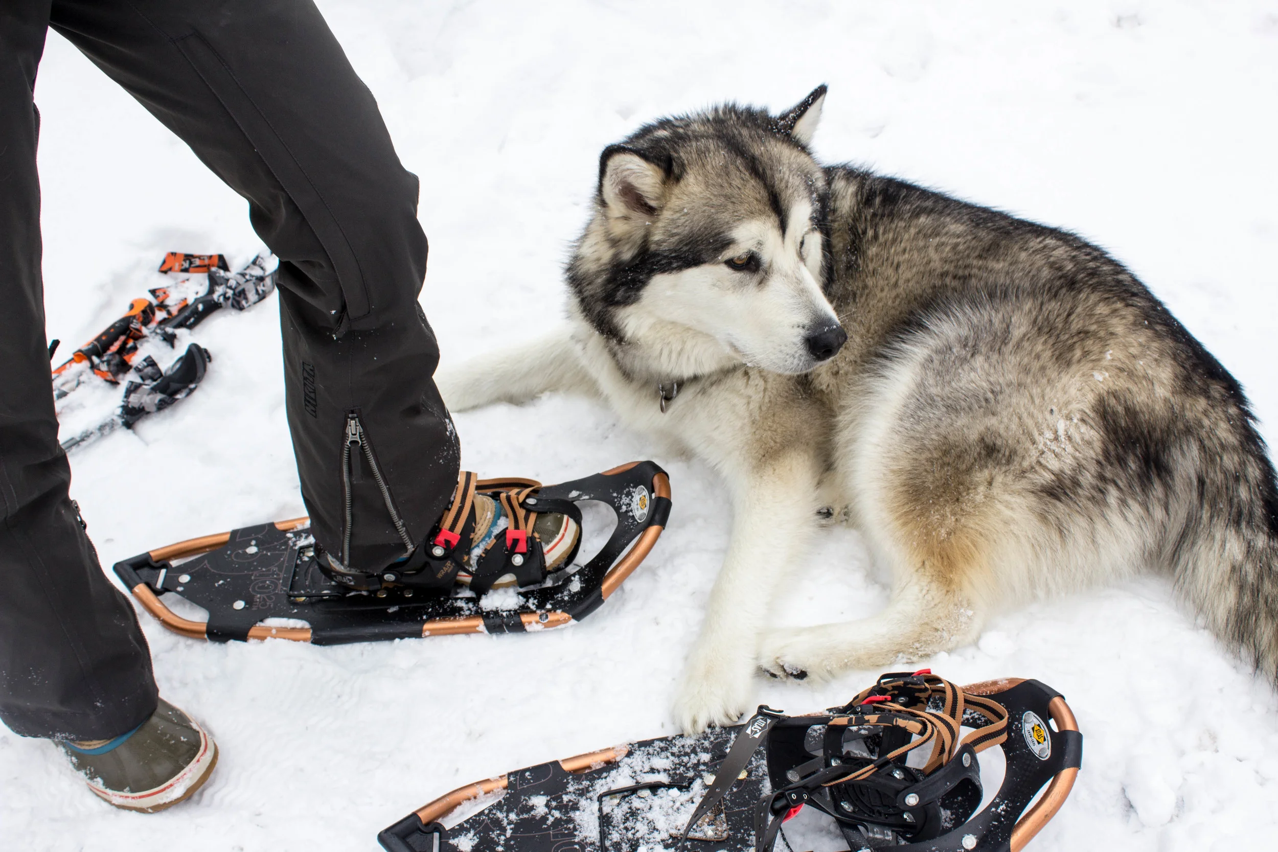 LLV_Hautelook_TNF-5.jpg