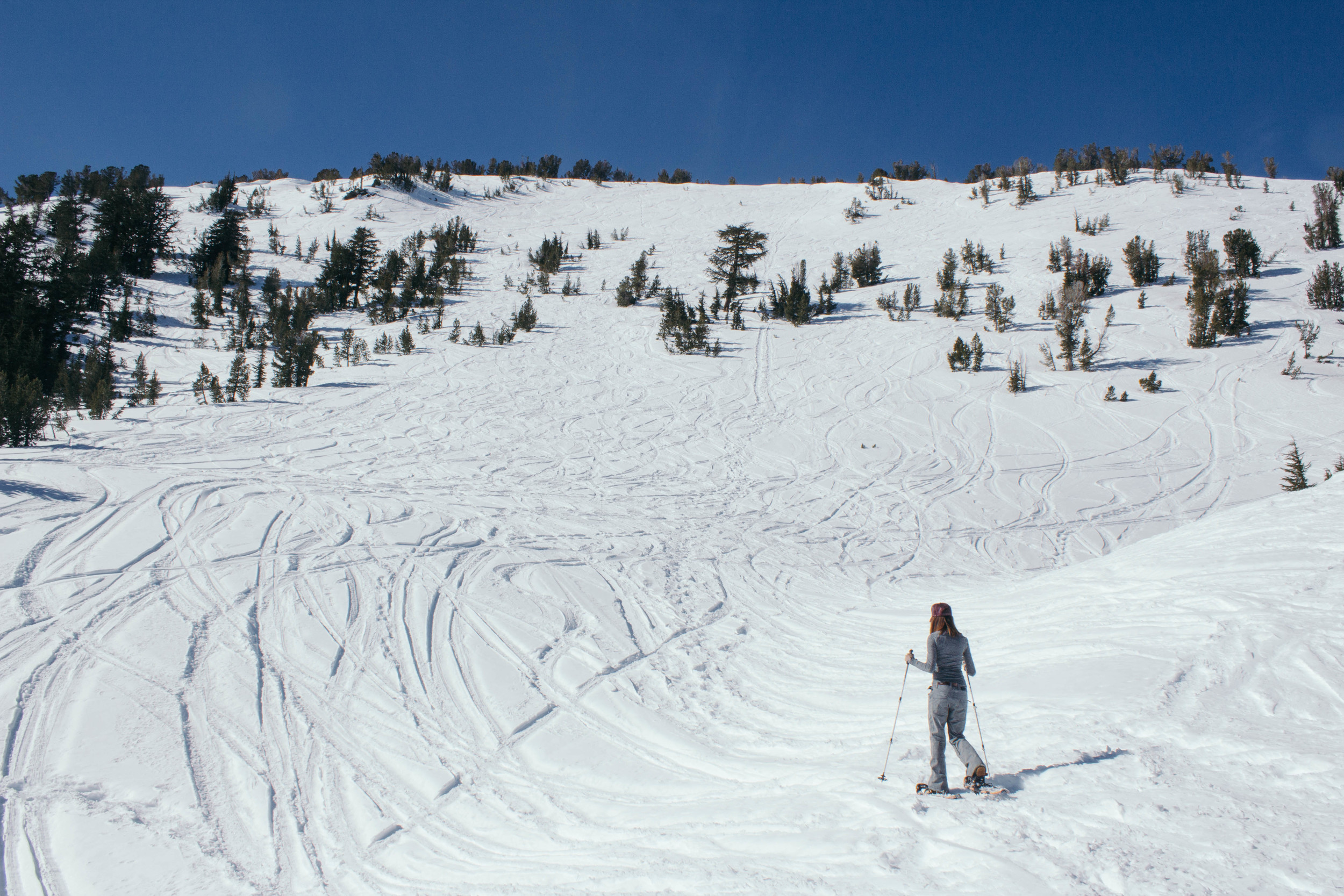 LLV_RenoTahoe_VDay-16.jpg