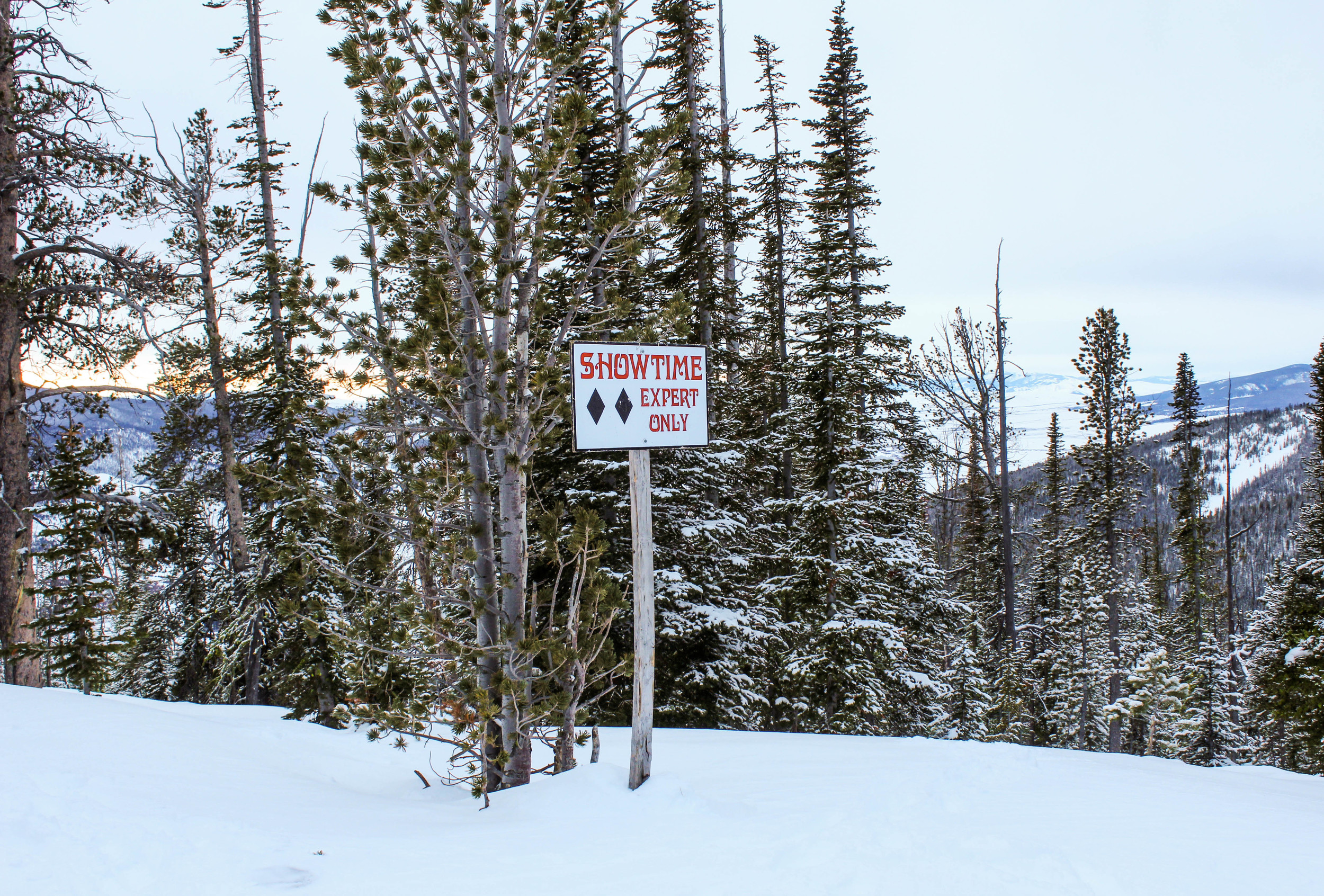LLV-Montana-241.jpg