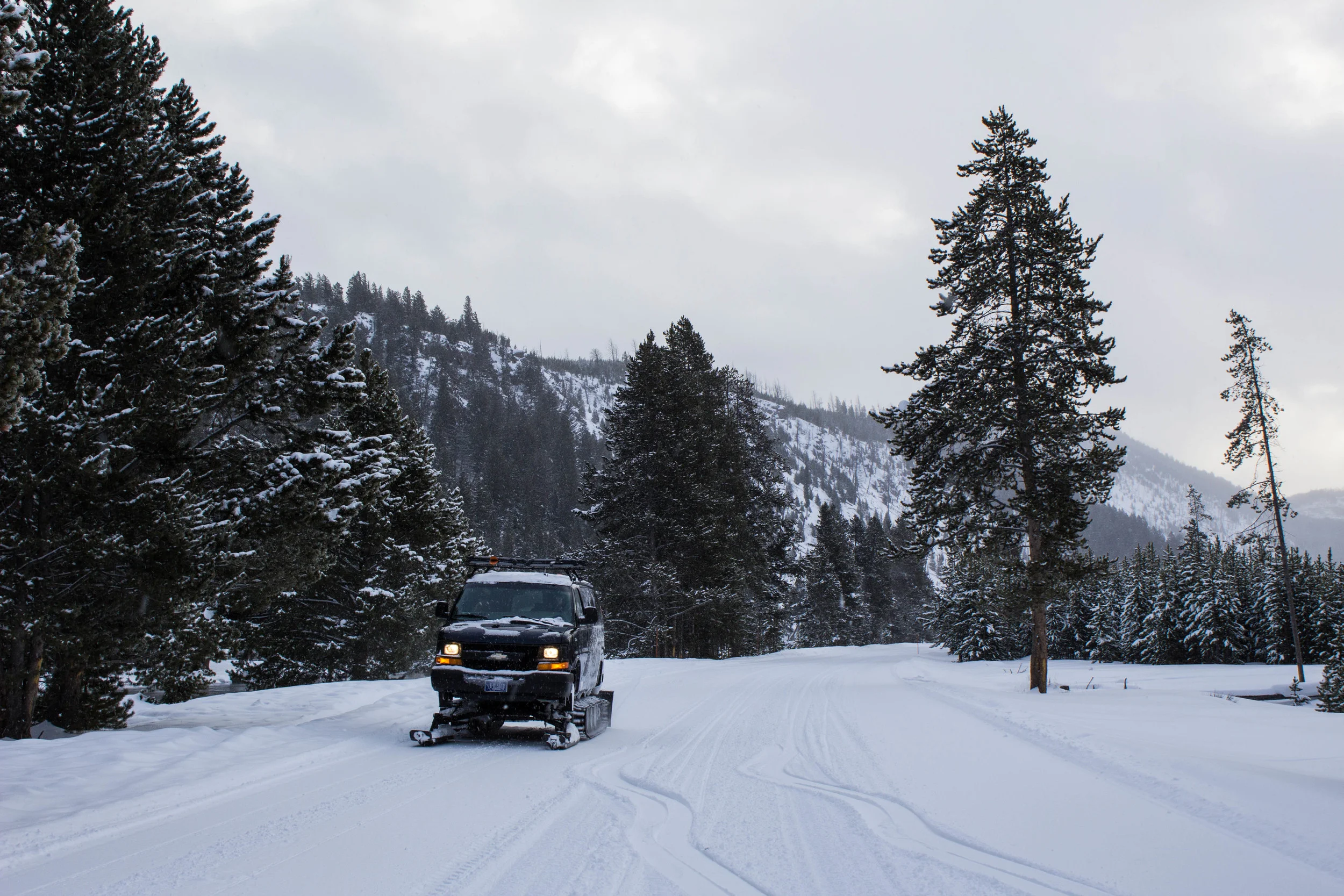 LLV_Montana-8.jpg