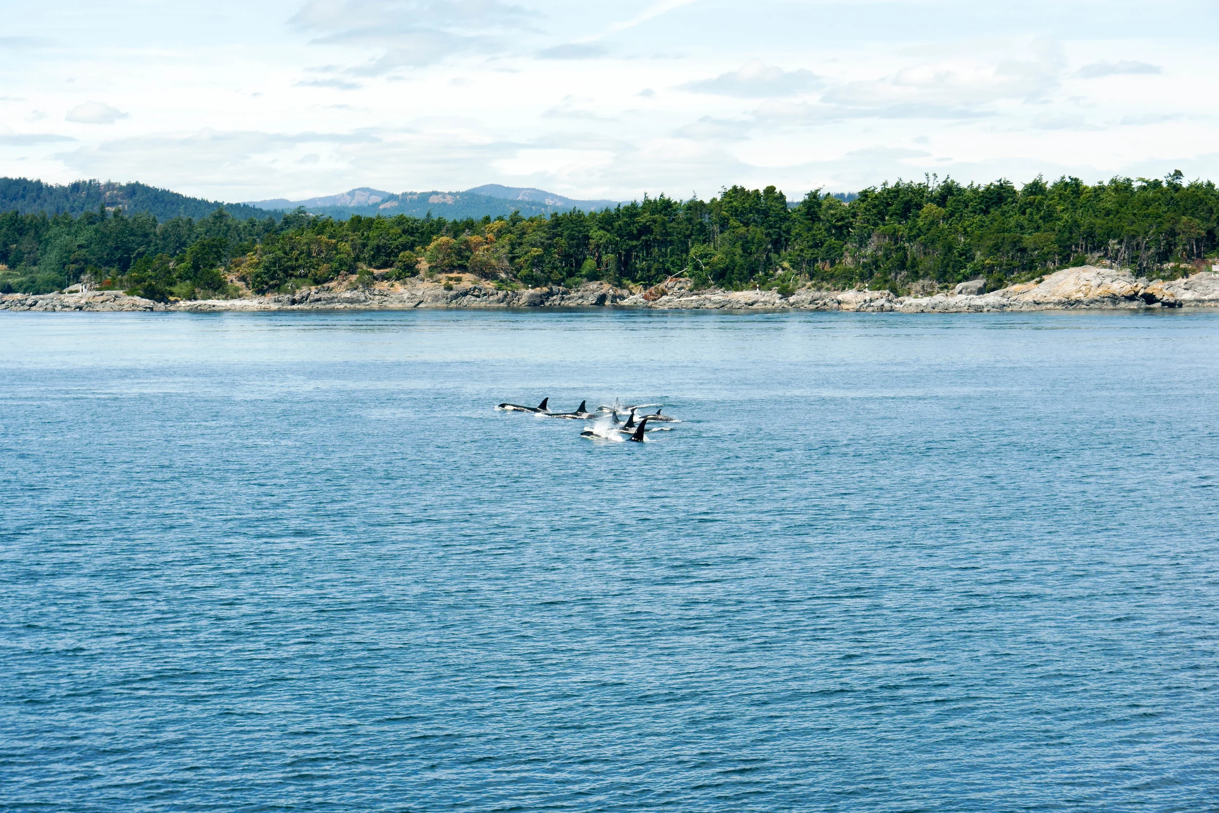 AlaskaAdventure-92.jpg