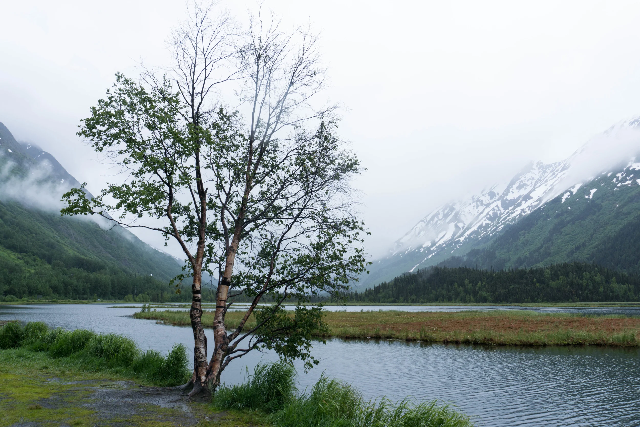 LLV_Alaska-9.jpg