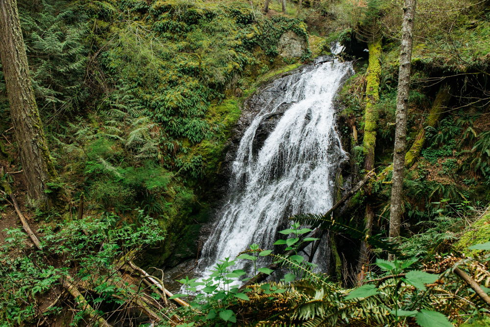 WeekendInOrcasIsland-66.jpg