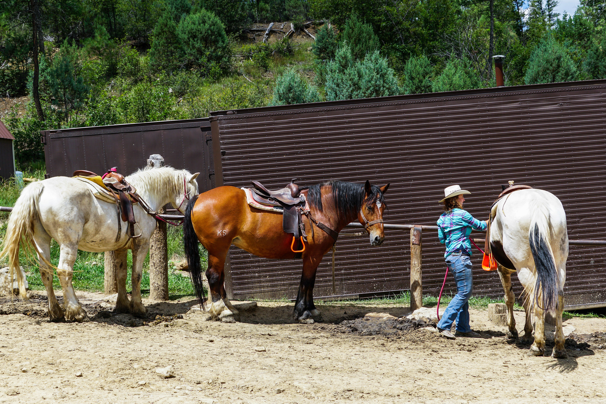 Ruidoso_LLV-65.jpg