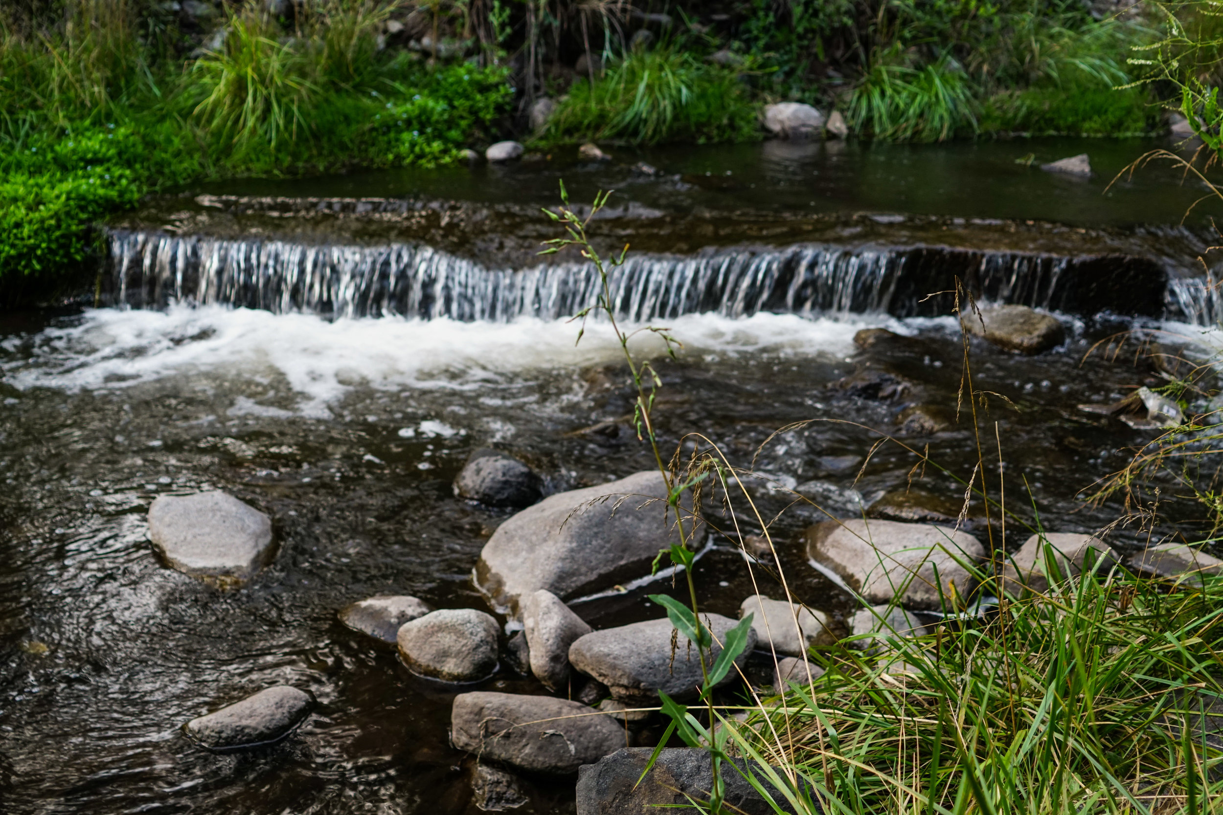 Ruidoso_LLV-110.jpg