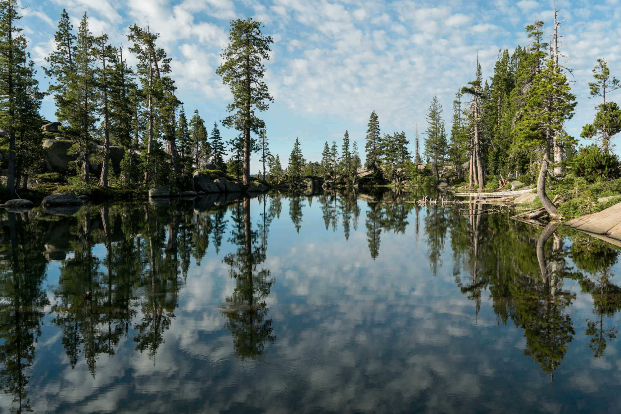 Summer-LakeTahoe-12.jpg