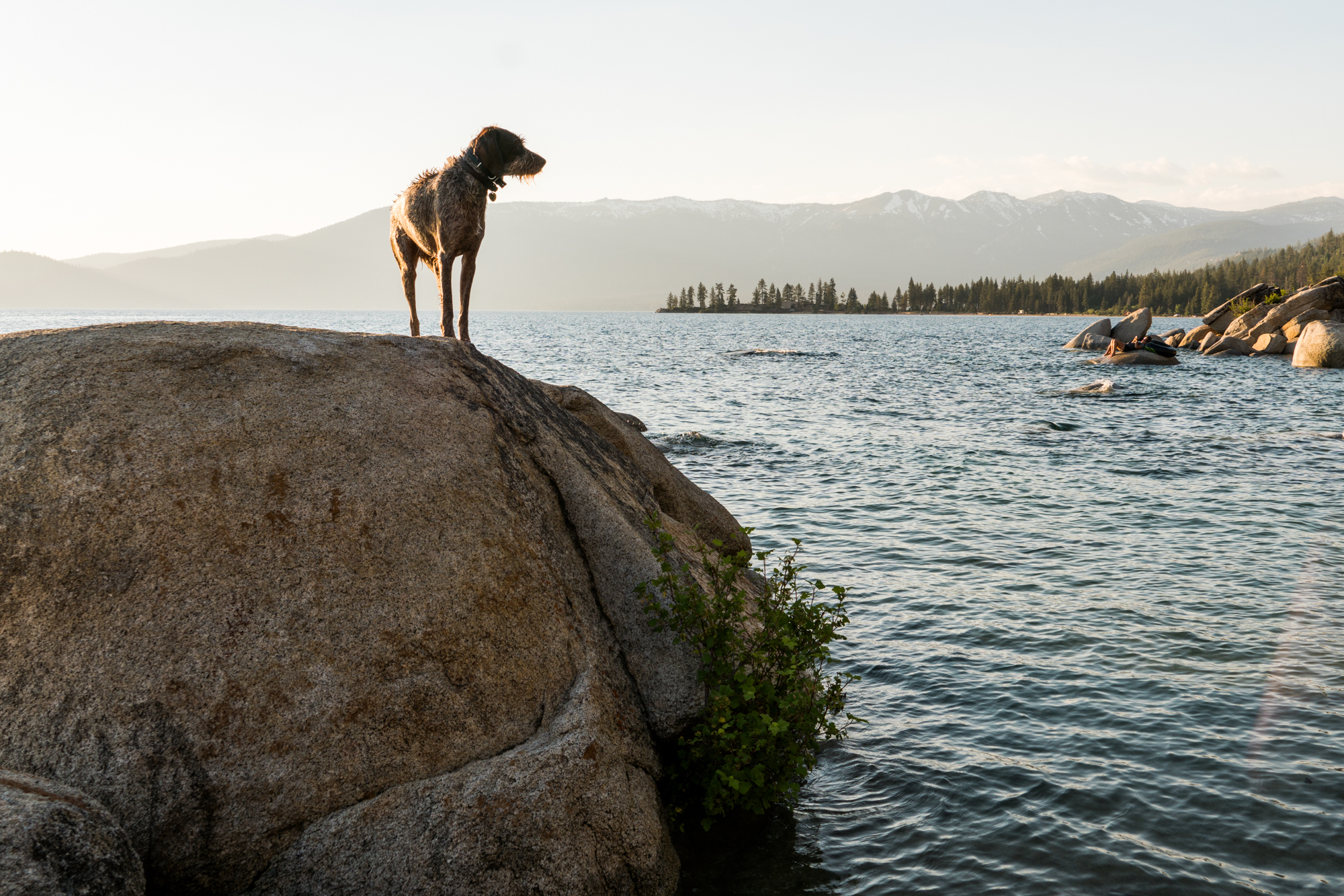 Summer-LakeTahoe-2.jpg