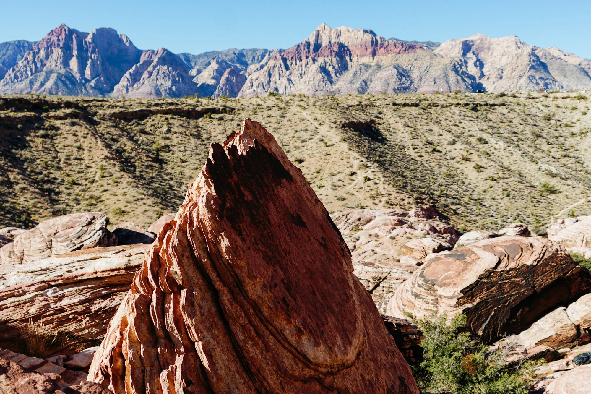 TravelNevada-202.jpg