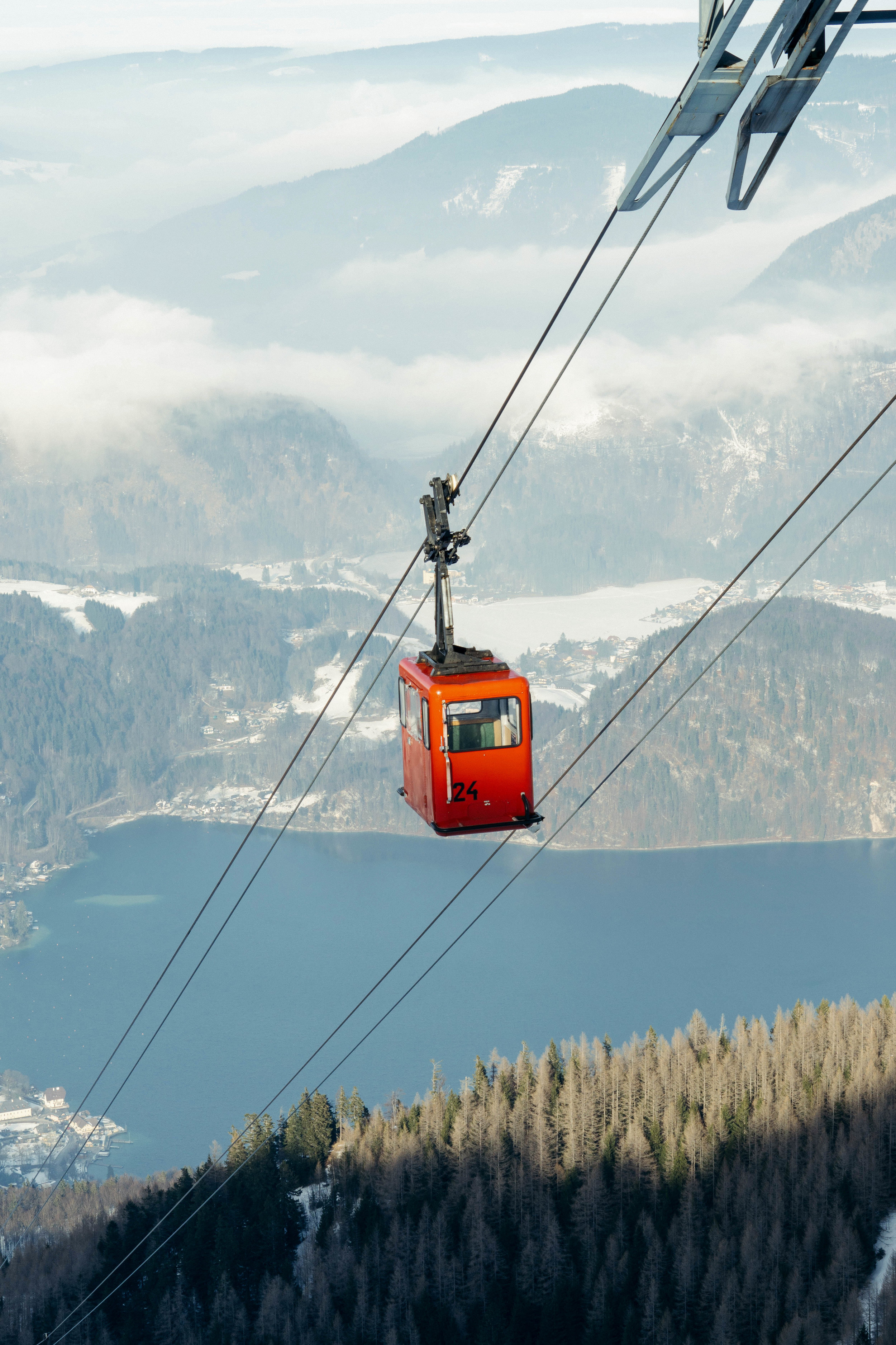 LLV_Teva_Europe-10.jpg