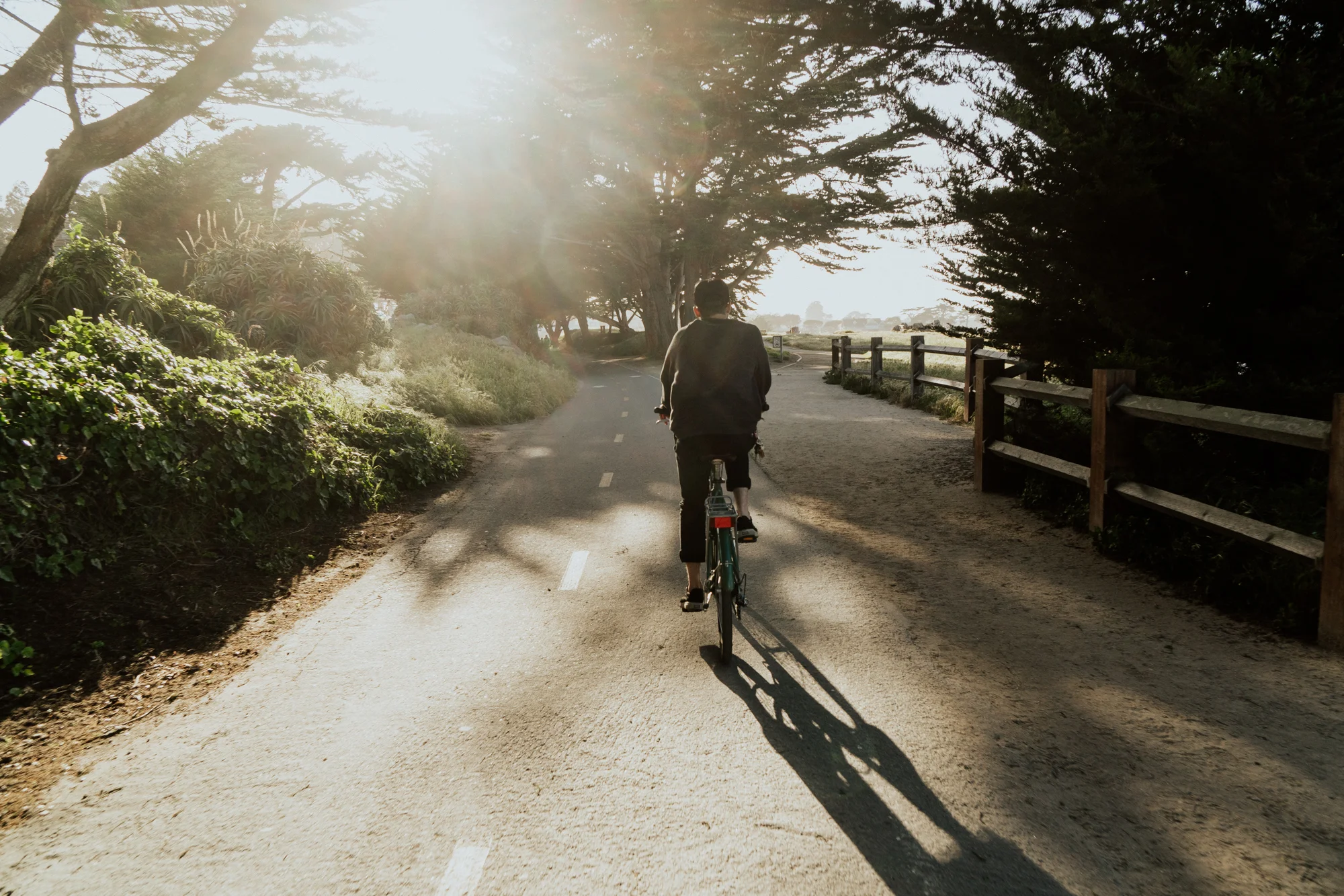 Monterey_LLV_low-res-250.jpg