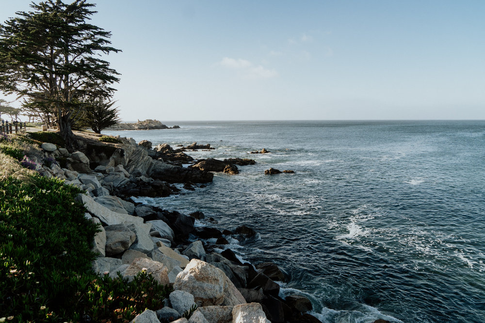 Monterey_LLV_low-res-251.jpg