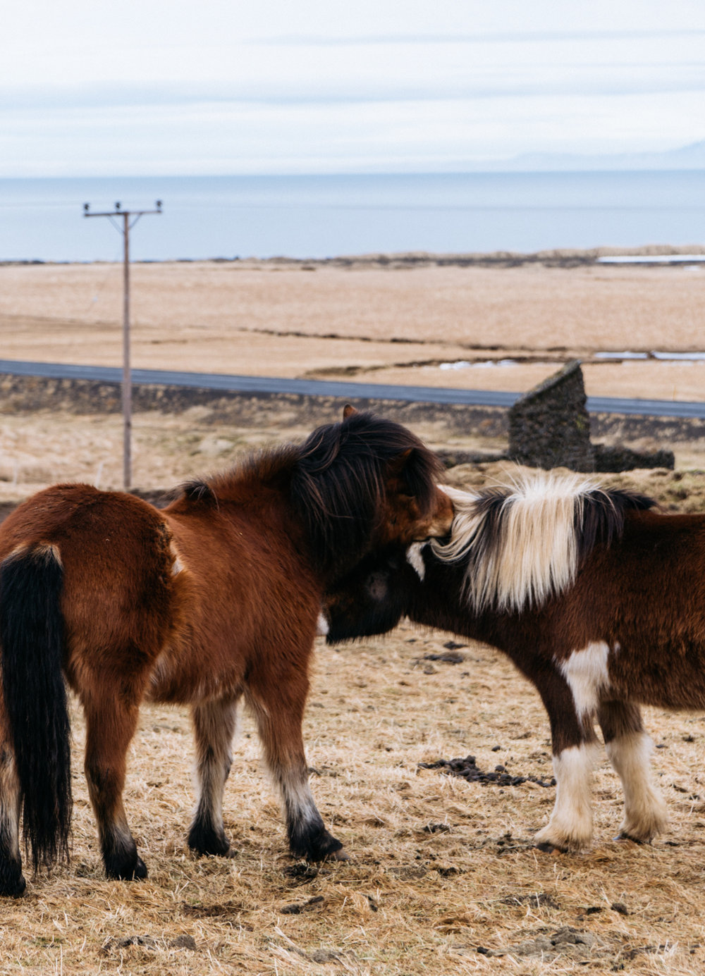 ICELAND2018-313.jpg