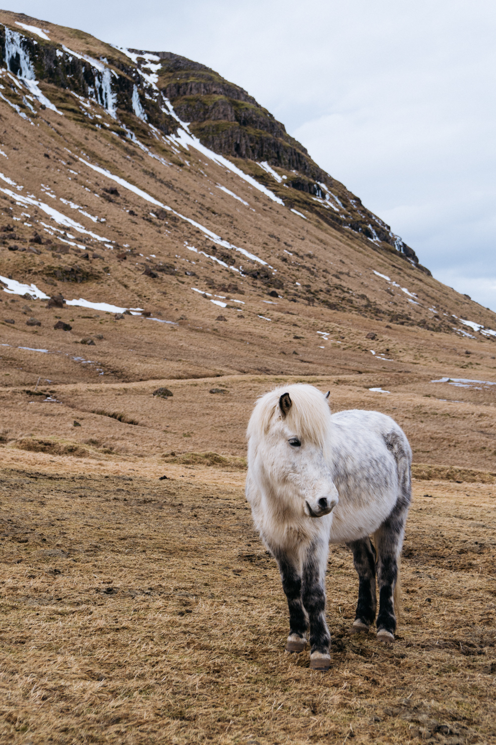 ICELAND2018-311.jpg