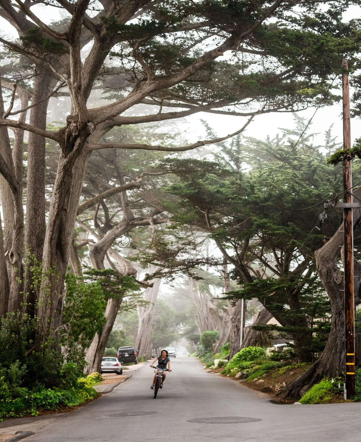 Cycling California's Coastline