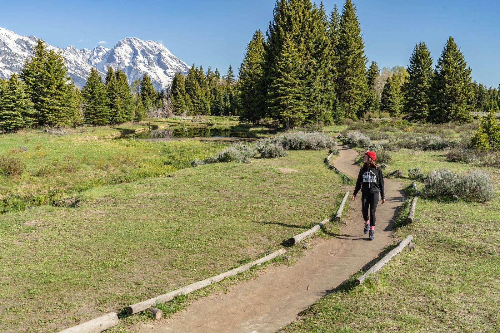 GrandTetonsWalkingPath.jpeg