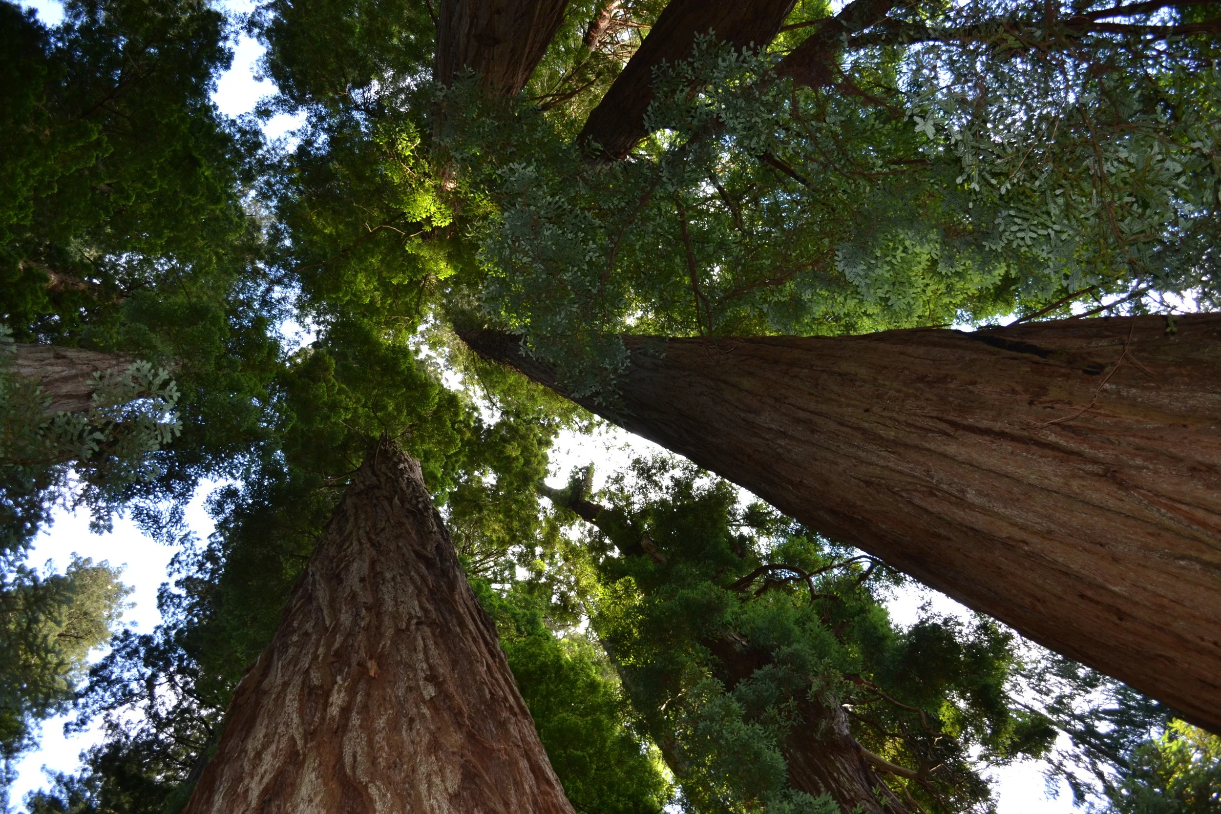 FAQ — H. Eric Bender, M.D., San Francisco Therapist Adult, Child, & Adolescent