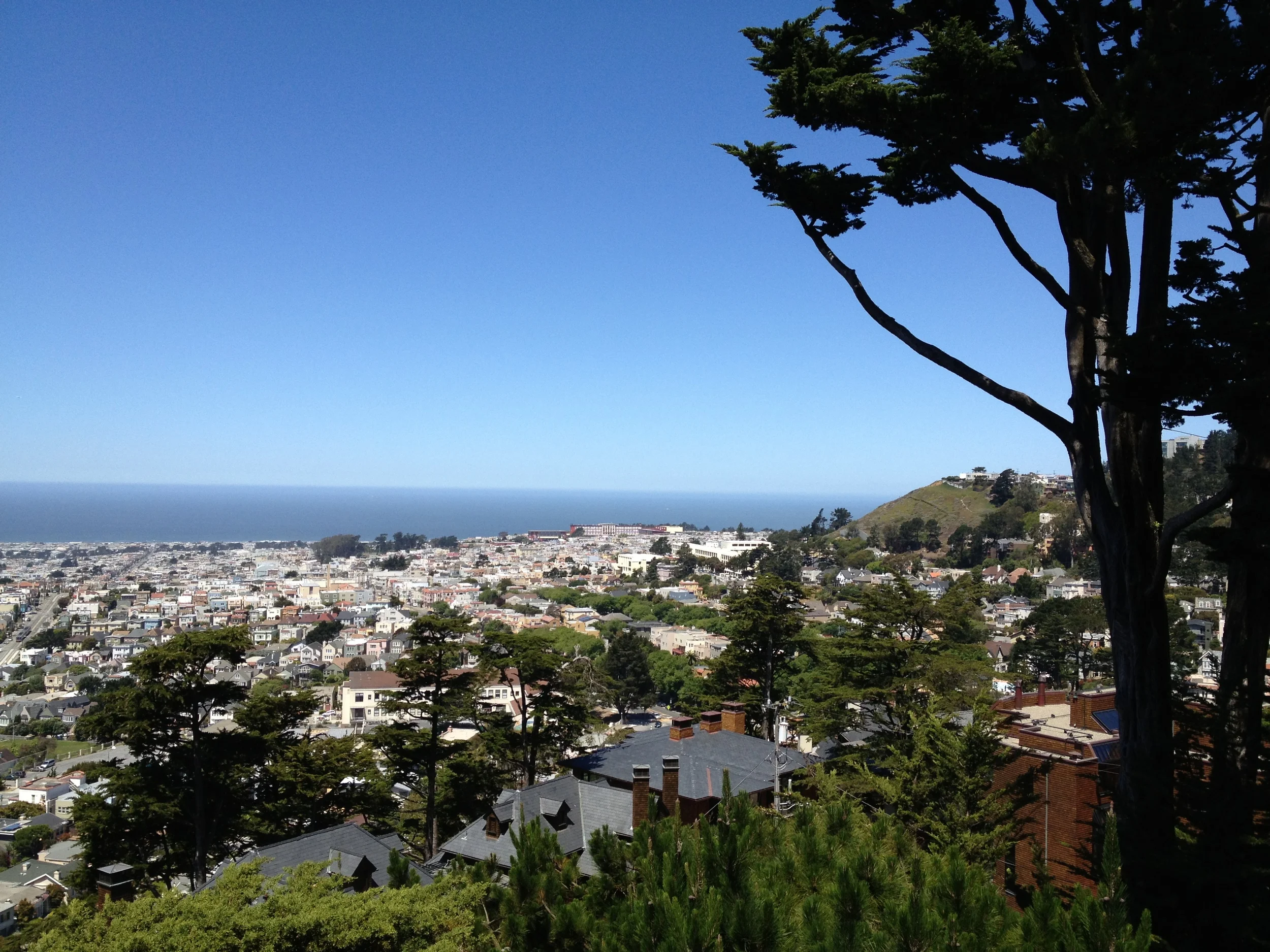 Services — H. Eric Bender, M.D., San Francisco Therapist Adult, Child, & Adolescent