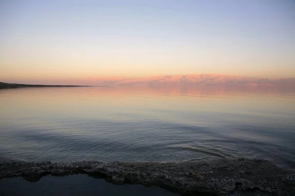 20145_272257321514_2199688_n.jpg