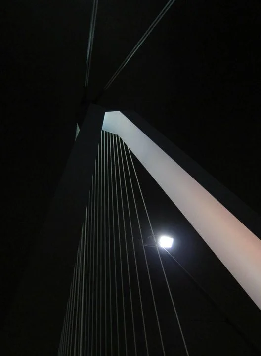 150878_10150098982811515_2911737_n.jpg