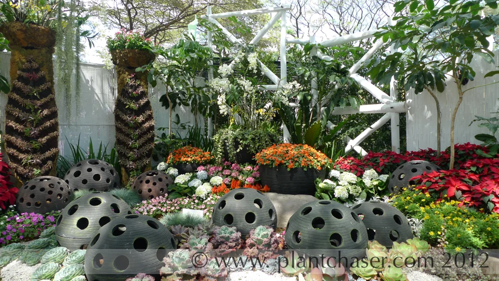 King Louis Flowers and Ornamental Plants