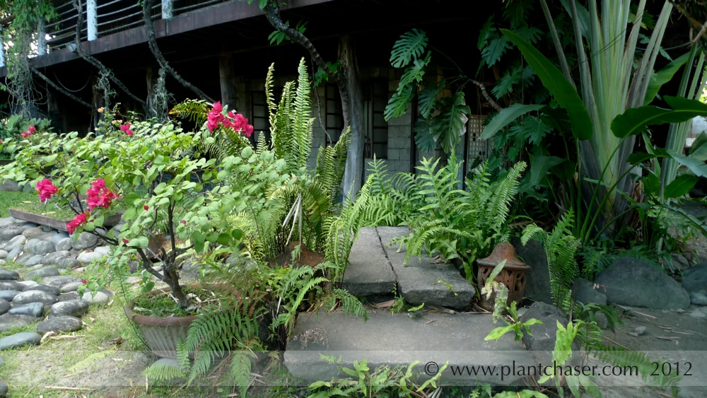 Walkway